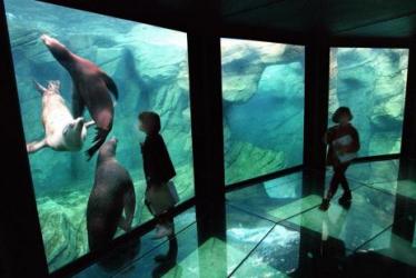 Forfait bien-etre sur la Cote d'Opale : Nausicaa