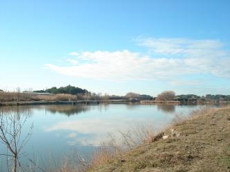 En arrivant sur Aigues-Mortes