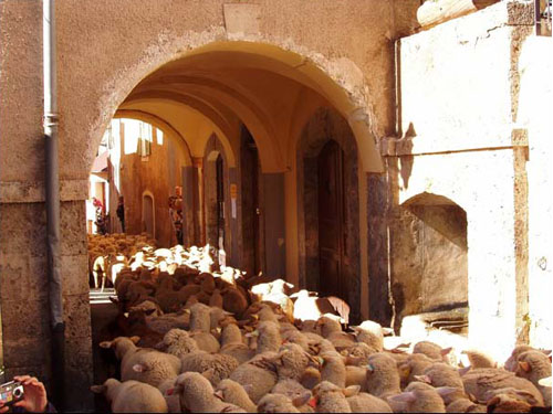 Le Pa�sot : Fete de la Transhumance � Roubion