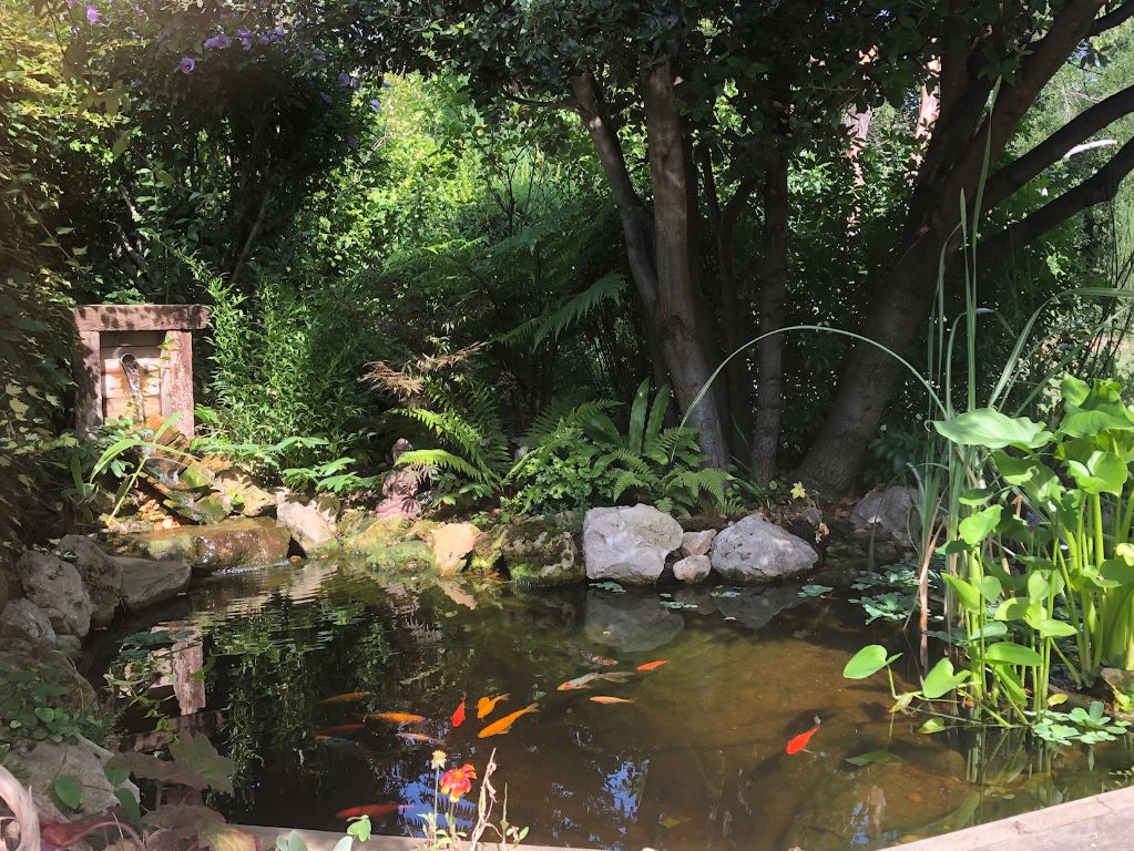 Le bassin zen du jardin
