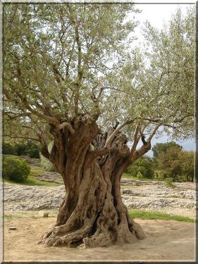 Ailleurs et Uz�s