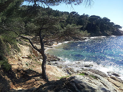 Plage du Brouis