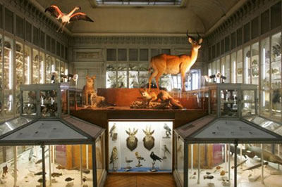 Mus�um d�Histoire Naturelle de Bordeaux