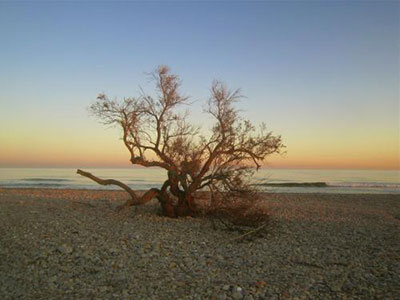 Plage des Aresquiers