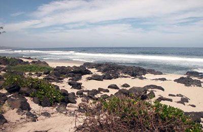 Les plages gays de la R�union