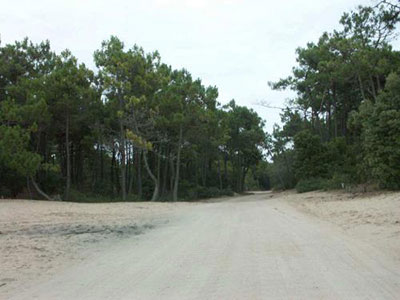 Plage de la Par�e Grollier