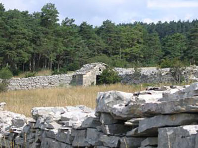 Mur de la Peste, Monts de Vaucluse, Pays des Sorgues