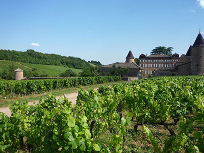 Wine tasting at Chateau de Chasselas