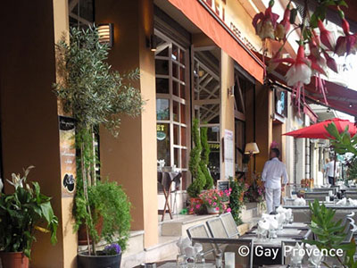 Le Perroquet