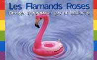 Cocktail-dansant par les flamands roses