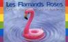 Cocktail-dansant par les flamands roses