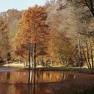 Automne en Normandie