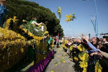 F�te du Mimosa � Mandelieu