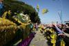 F�te du Mimosa � Mandelieu