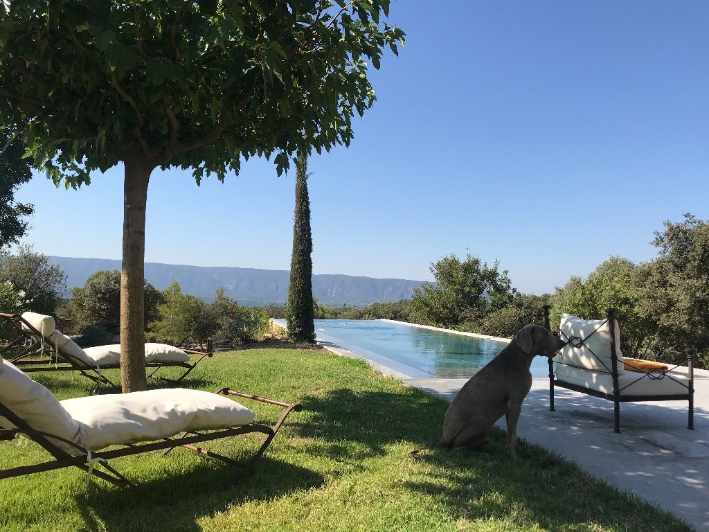 Domaine des Savournins en Provence dans le Luberon 