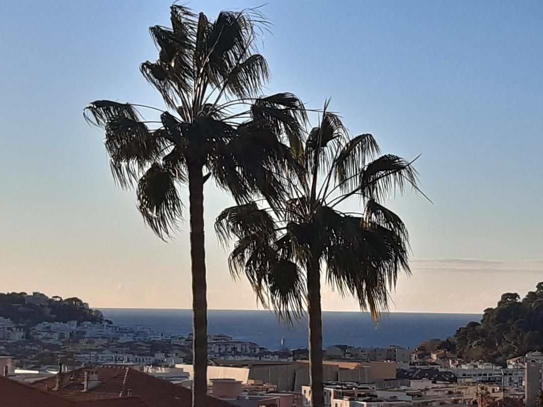 Vacances Plaisirs et Sérénité, UNIQUE & Only Gay, APPARTEMENT avec piscine jardin, Nice Vacances Plaisirs et Sérénité, UNIQUE & Only Gay, APPARTEMENT avec piscine jardin, Nice