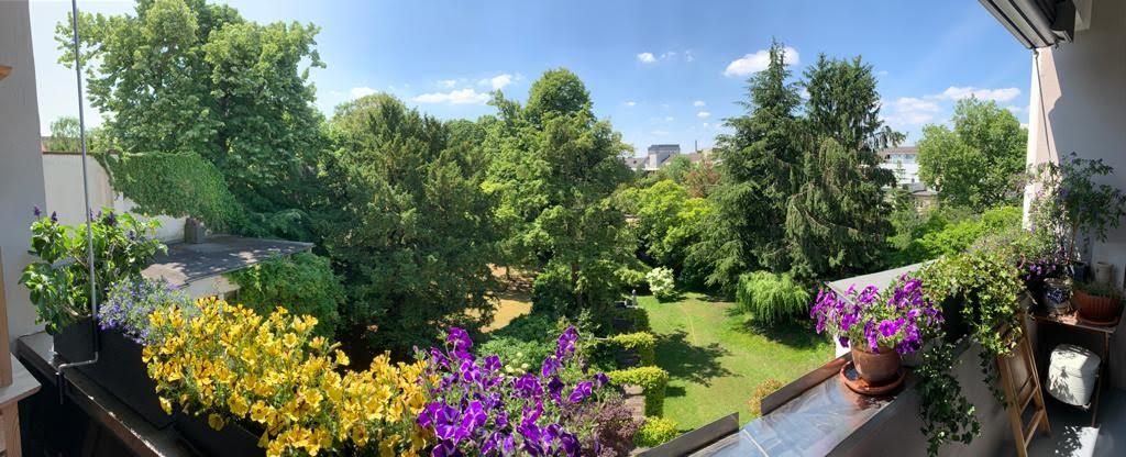 Gay naturist guestroom in Dusseldorf