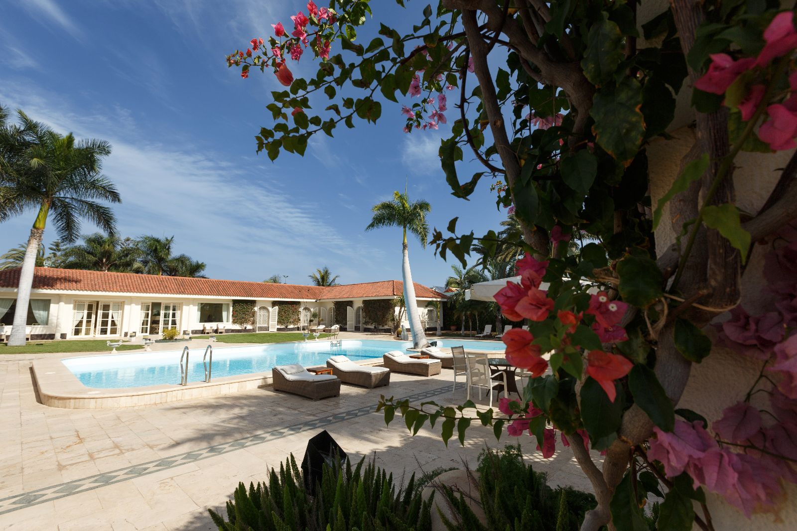 The Naked Canary Island Experience by Everything To Sea The Naked Canary Island Experience by Everything To Sea