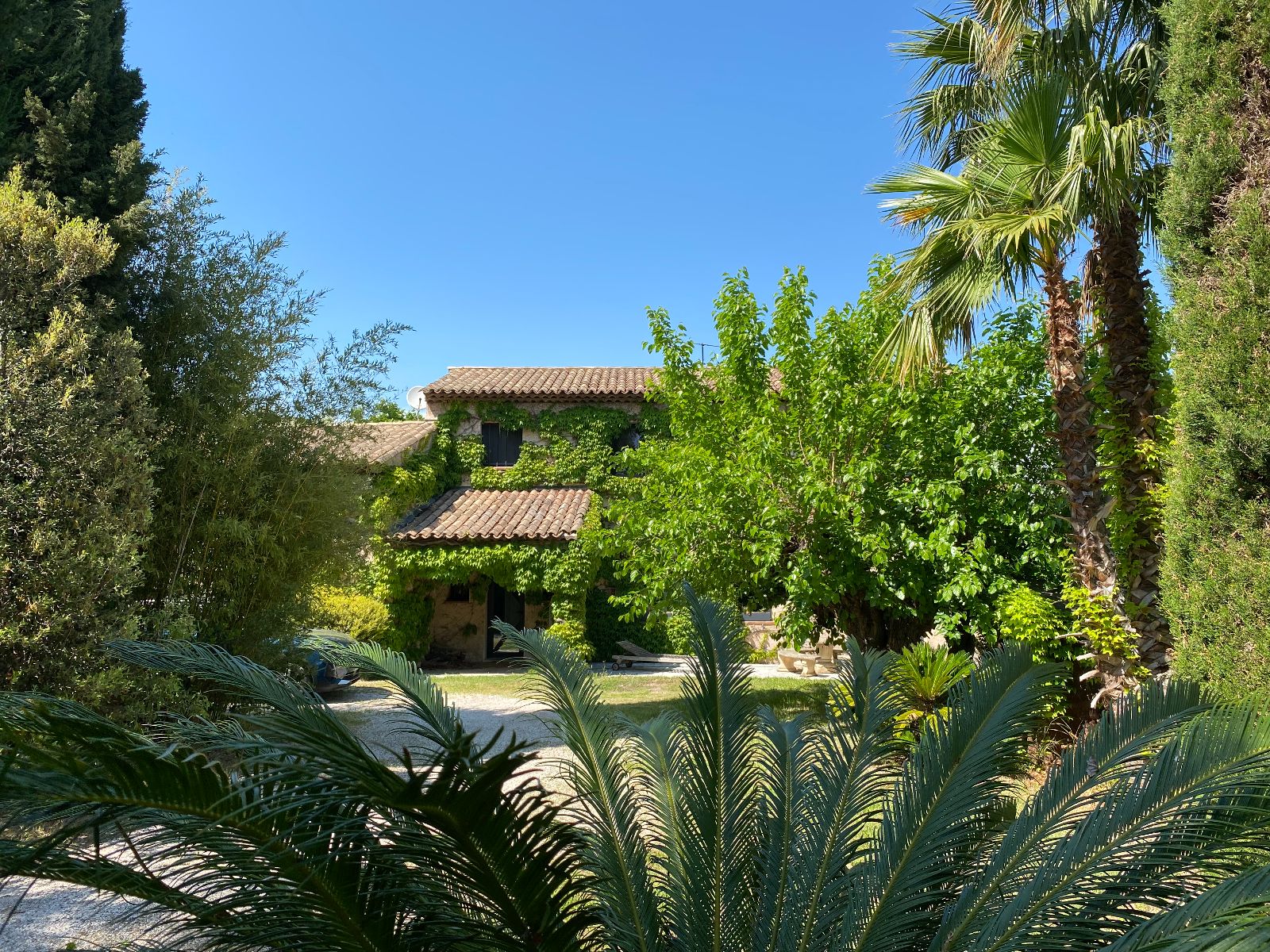 Vente d'une maison  Frjus sur un terrain de 1600 m