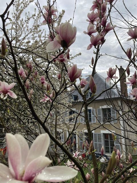 Le Petit Monde de Molly