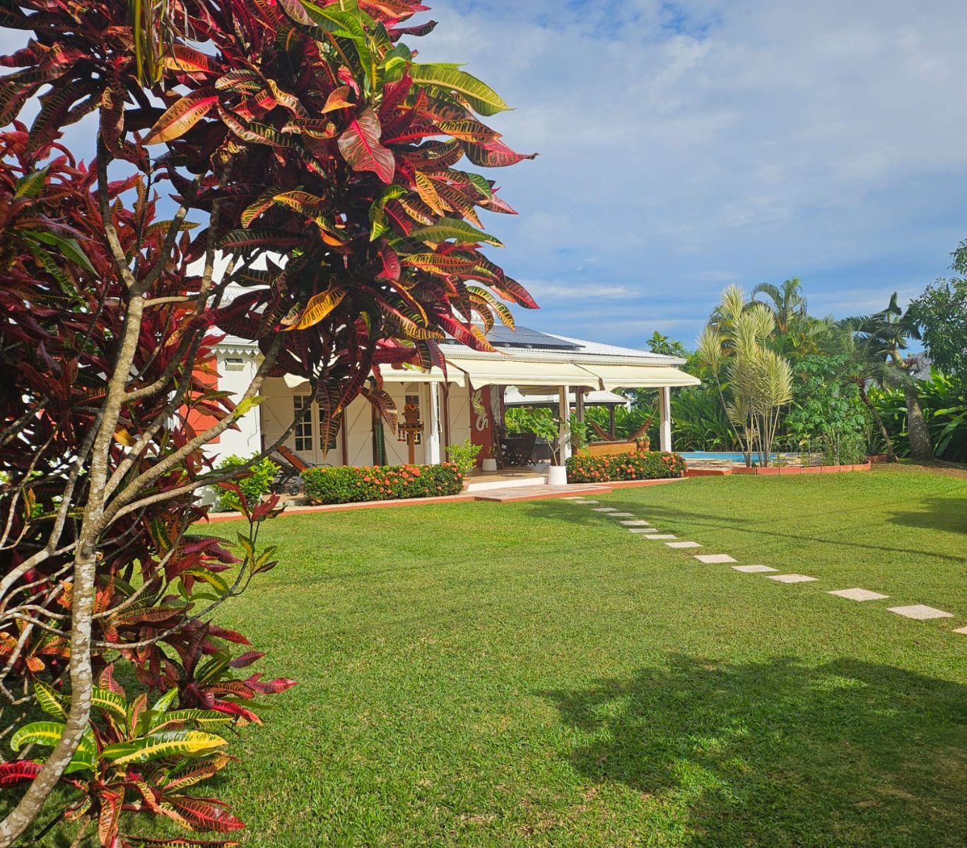 Tropical Free Spirit