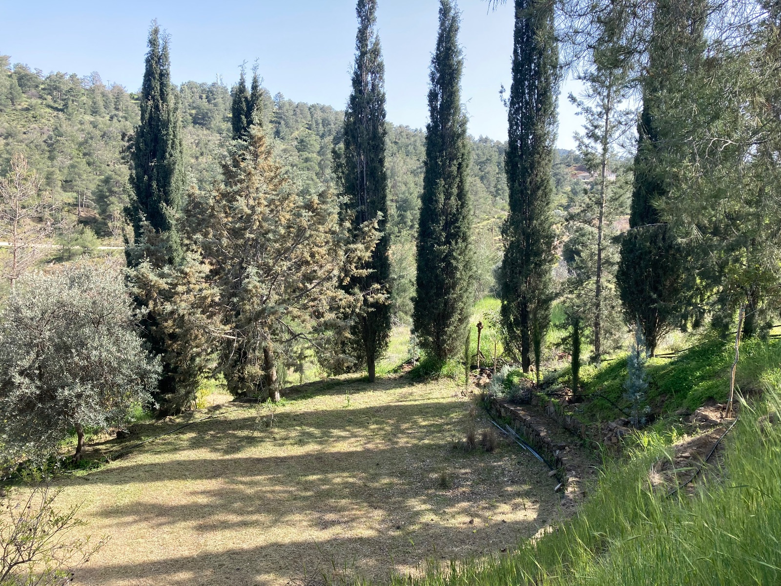 Yoga Nu et initiation aux massages tantriques entre hommes à Chypre du 24 au 30 mai 2026 Yoga Nu et initiation aux massages tantriques entre hommes à Chypre du 24 au 30 mai 2026