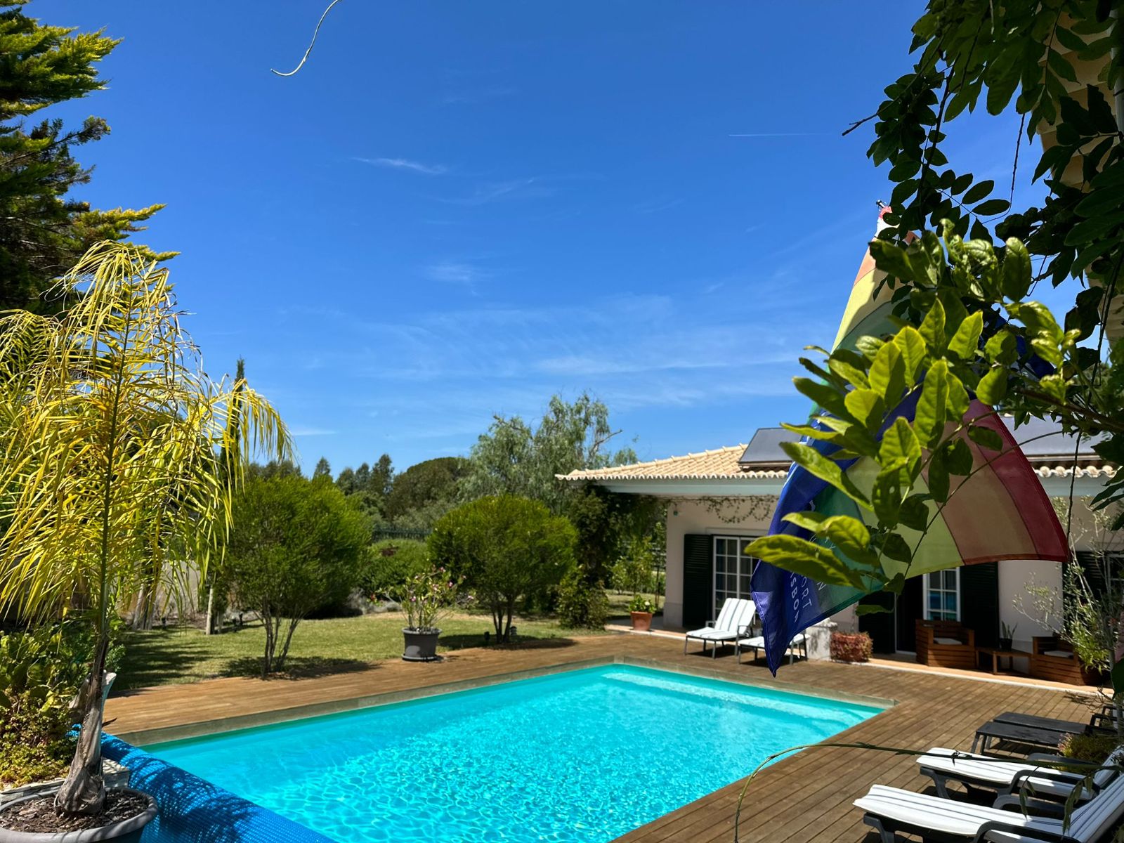 Birds by the beach - Meco Birds by the beach - Meco