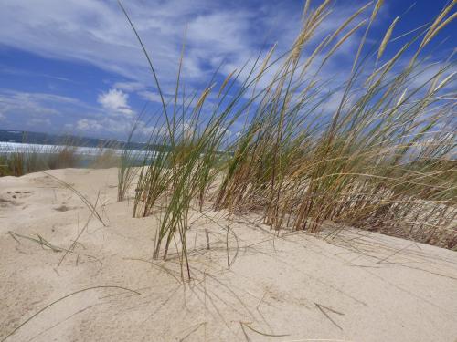 Plage du Mtro Tarnos
