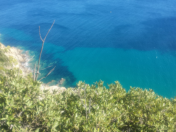 Criques naturistes de Cavalaire-sur-Mer