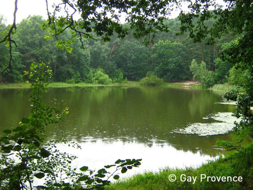 Teufelssee (plage au bord du lac Teufelssee)