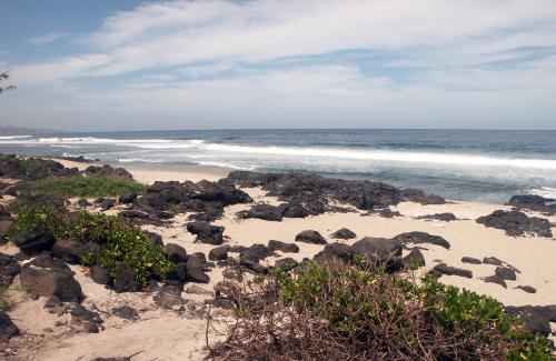 La Sourie Chaude La Sourie Chaude