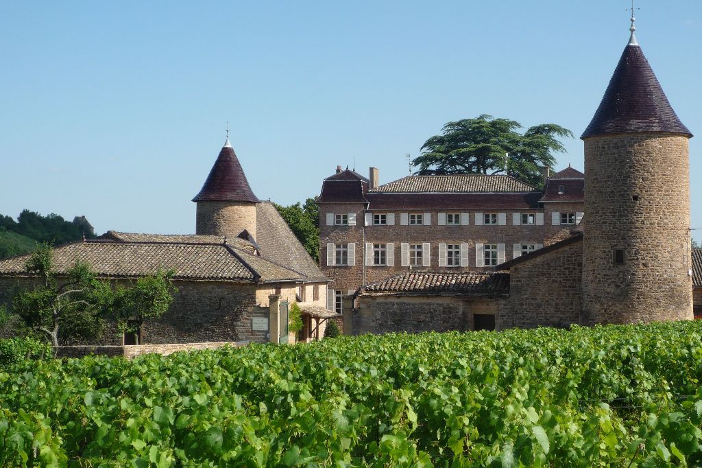 Dégustation au Château de Chasselas Dégustation au Château de Chasselas