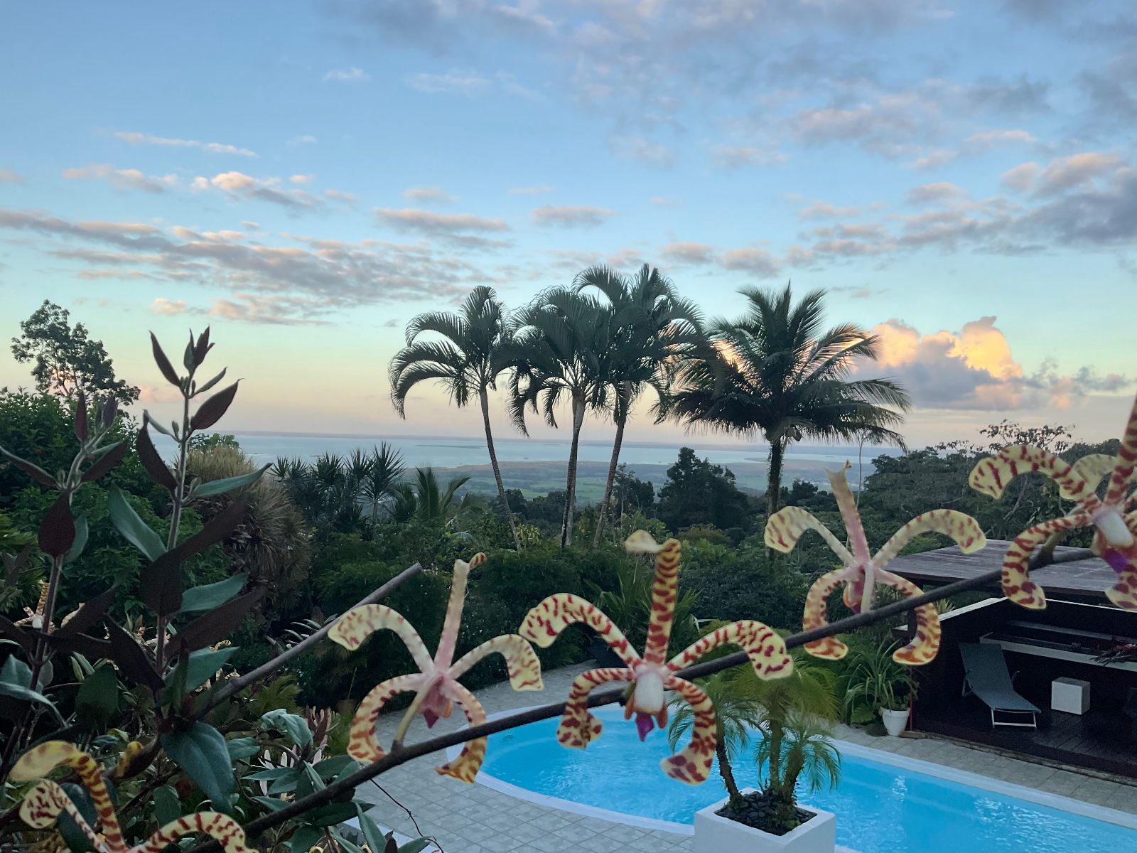 A VENDRE Les Jardins de Zéphyr - Gîtes Gay Only - Guadeloupe A VENDRE Les Jardins de Zéphyr - Gîtes Gay Only - Guadeloupe