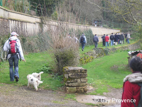 Rando's Poitou Rando's Poitou