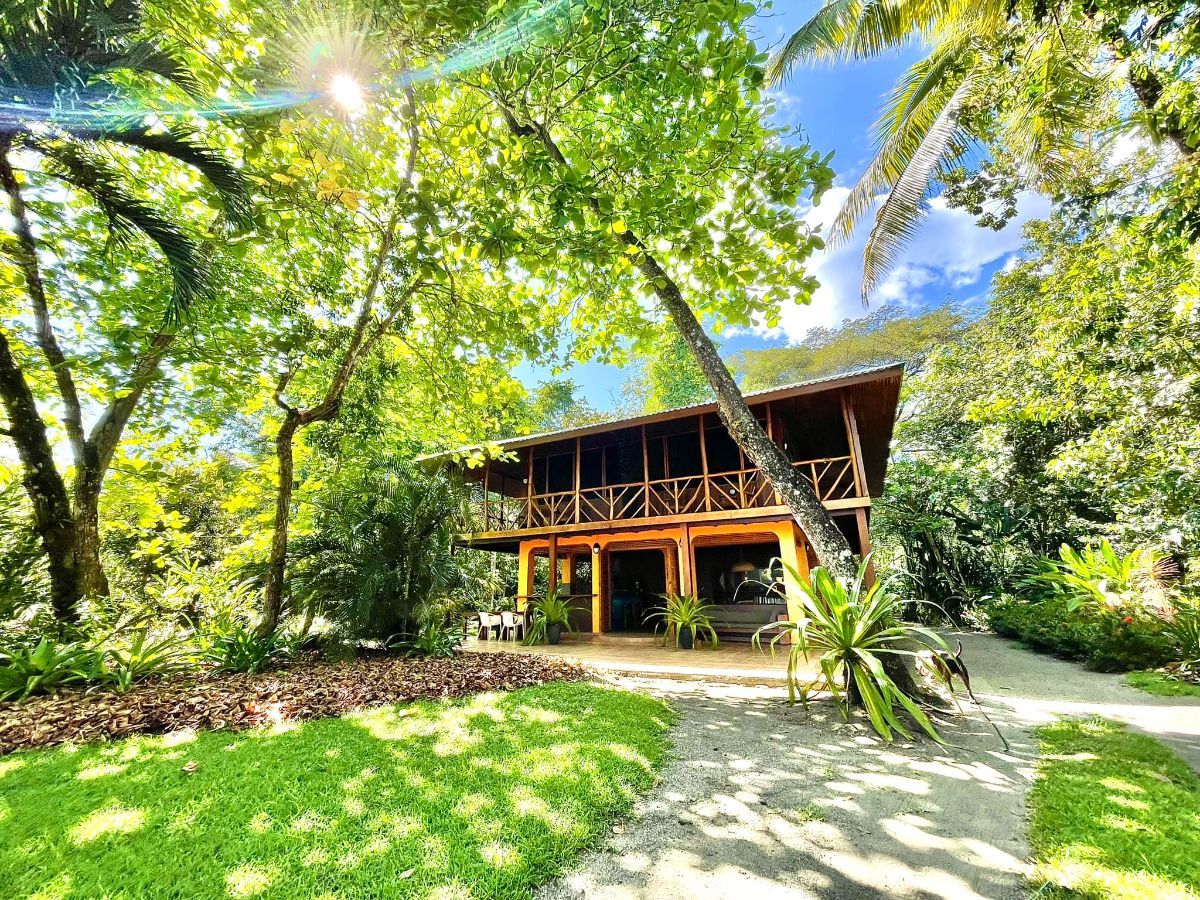 Beach house, plage, jungle, mangrove & lagune Beach house, plage, jungle, mangrove & lagune