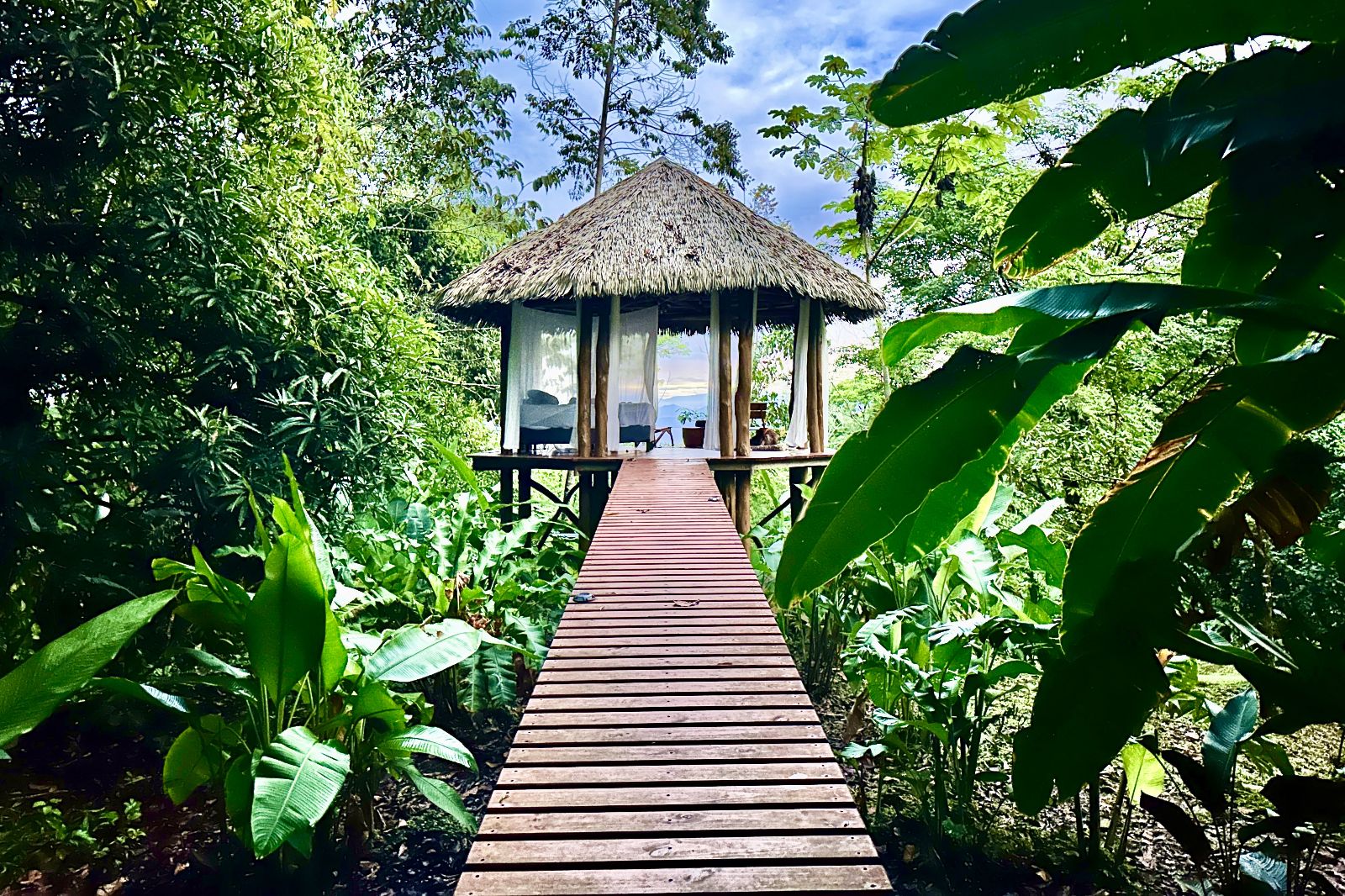 Cabane ouverte à 360°. Vue sur la jungle et la mer. Petit-déjeuner Cabane ouverte à 360°. Vue sur la jungle et la mer. Petit-déjeuner