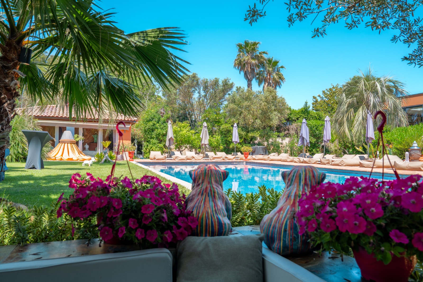 Villa Peacock Chambre d'hôtes & Gïte gay Naturiste Grau d'Agde Villa Peacock Chambre d'hôtes & Gïte gay Naturiste Grau d'Agde