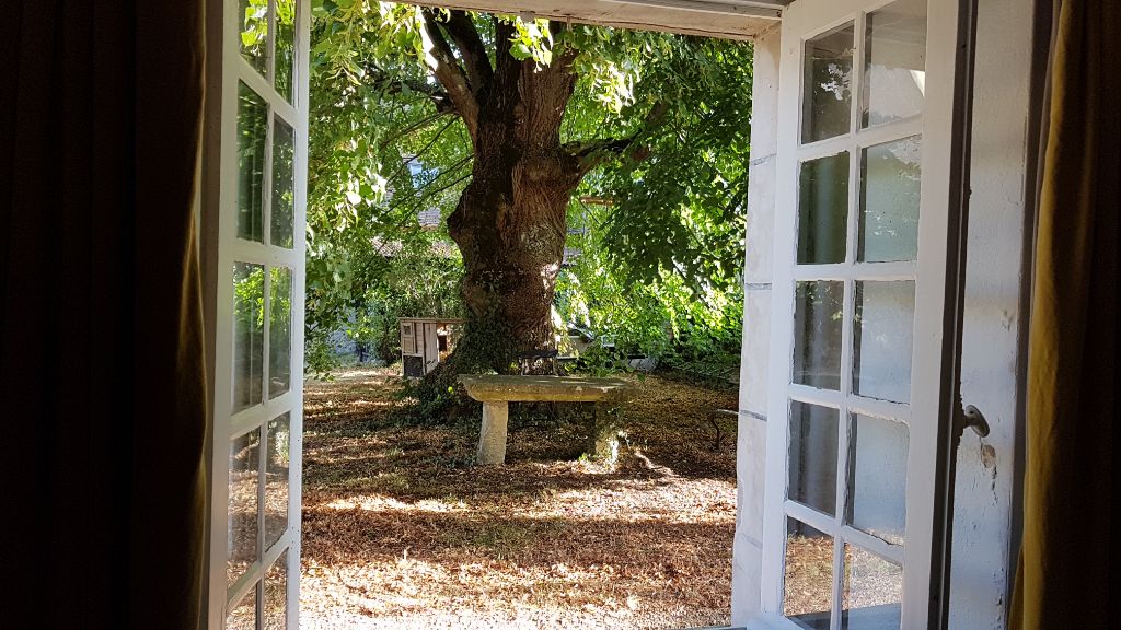 sous le tilleul  tricentenaire 