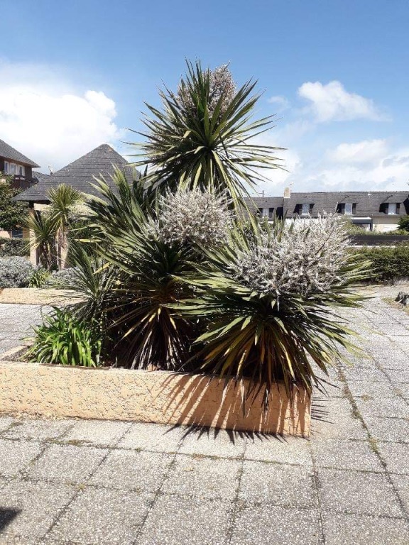 Espace vert Espace vert