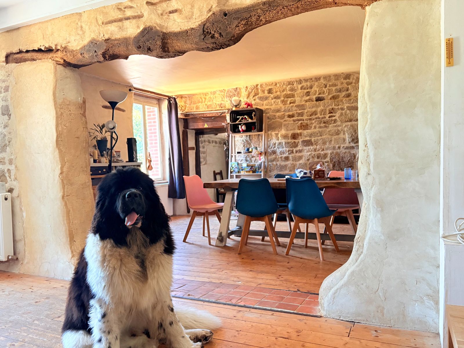 Salon commun et notre chien Amiral