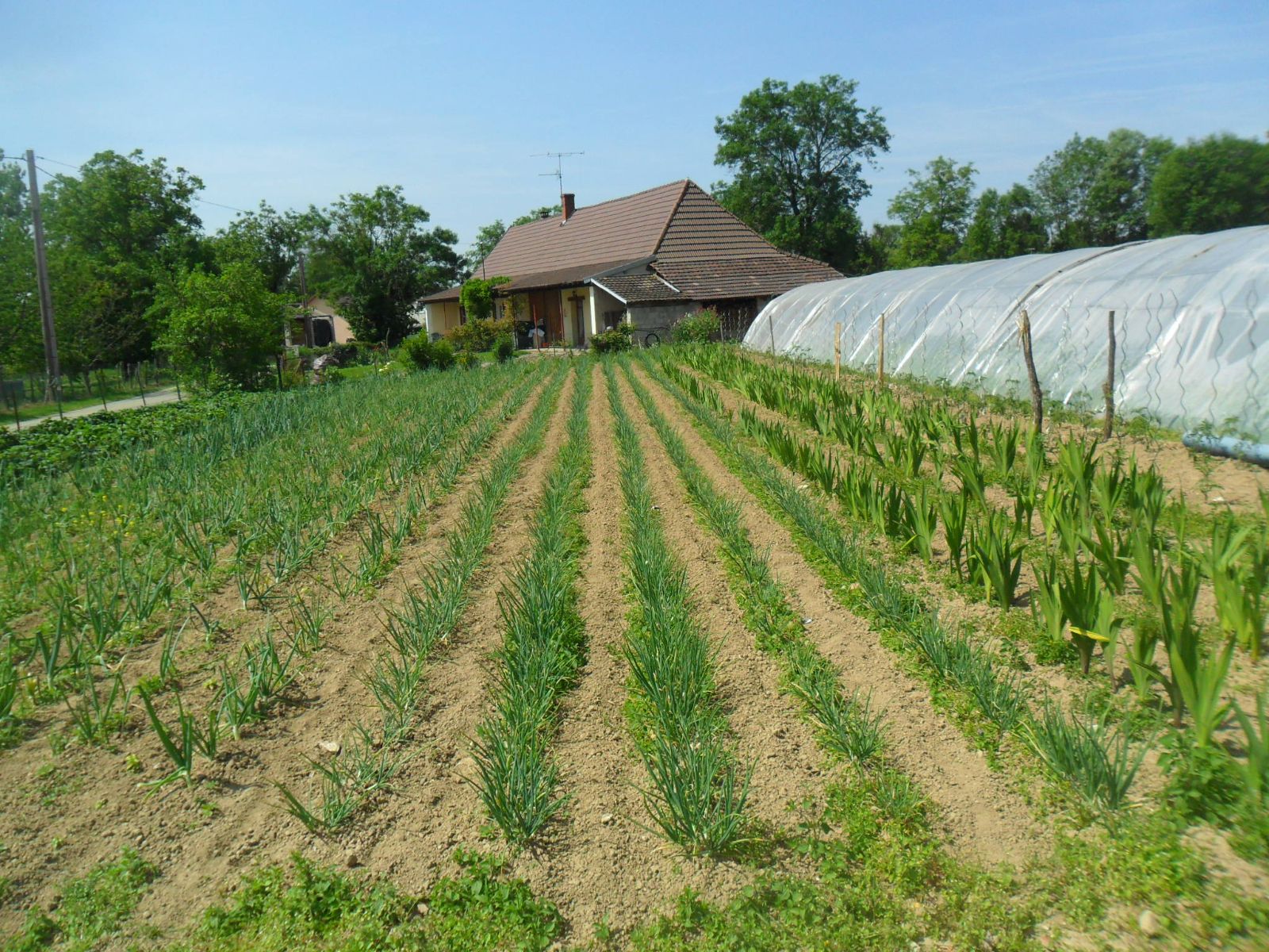 Notre jardin Notre jardin