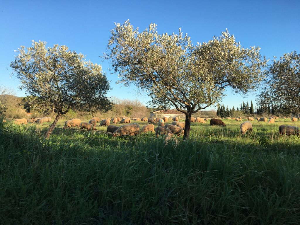 De l'autre coté du chemin De l'autre coté du chemin