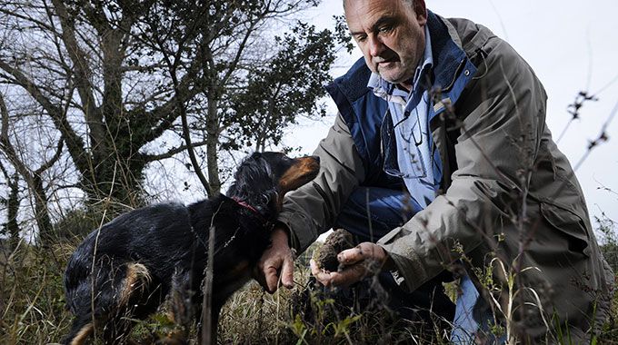 Cavage chez un vigneron Cavage chez un vigneron