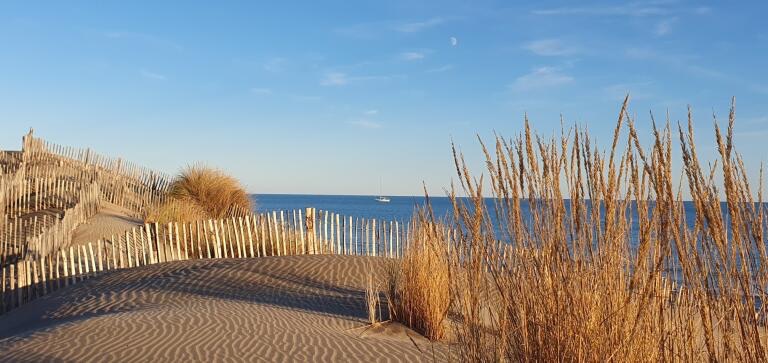 Plage de l'Espiguette (merci Jol pour la photo)