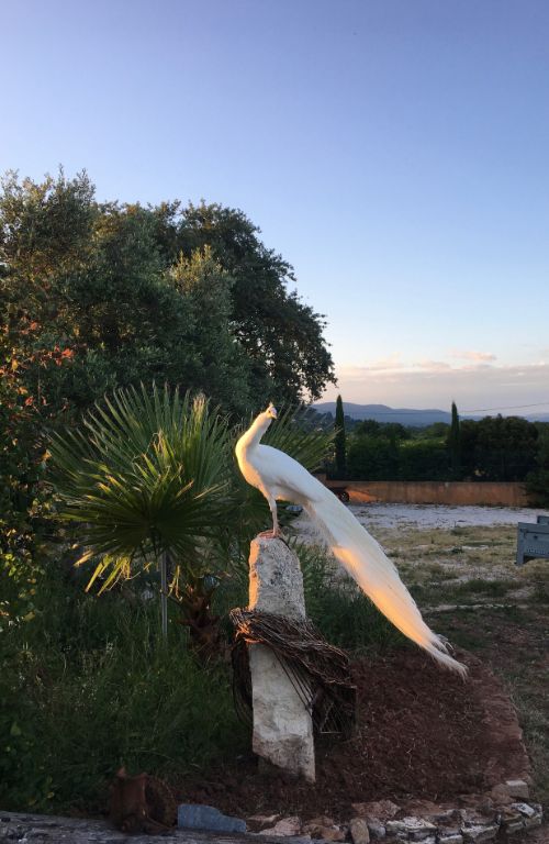 Casper profitant du dernier rayon de soleil Casper profitant du dernier rayon de soleil