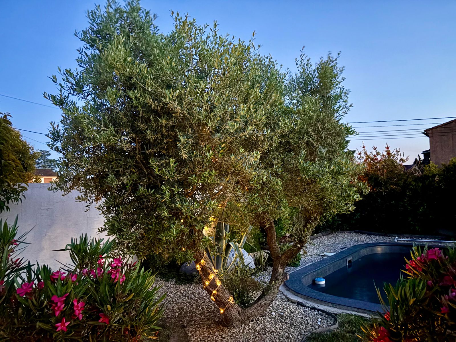 Olivier Jardin - Villa de l'Etang