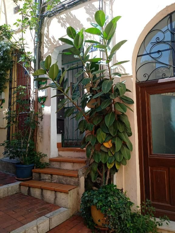 ENTREE DU BATIMENT ENTREE DU BATIMENT