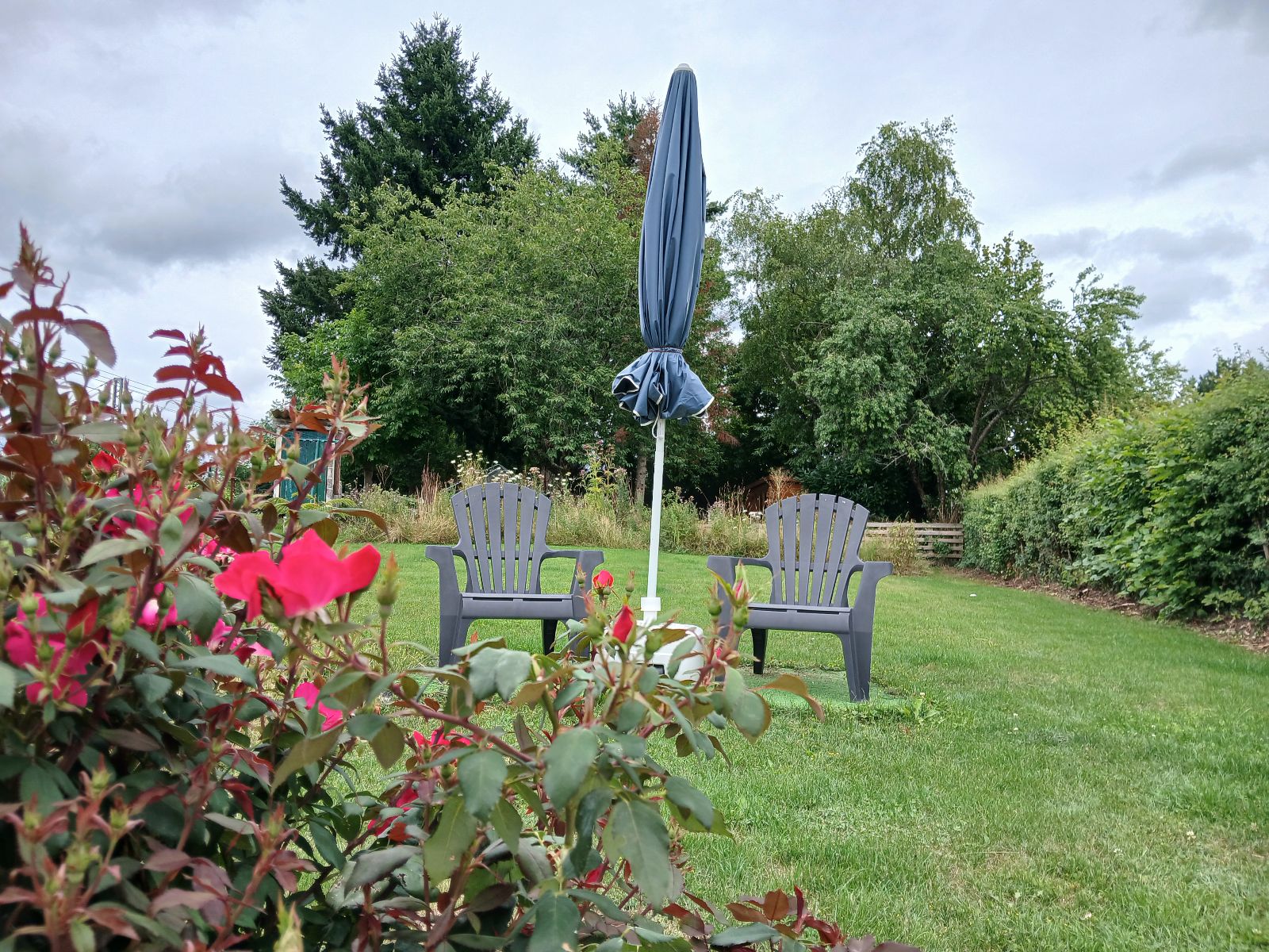 grand jardin offrant beaucoup d'intimité grand jardin offrant beaucoup d'intimité