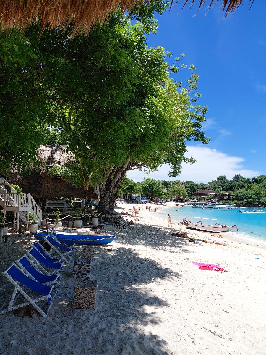 Fancy going to a beach club?