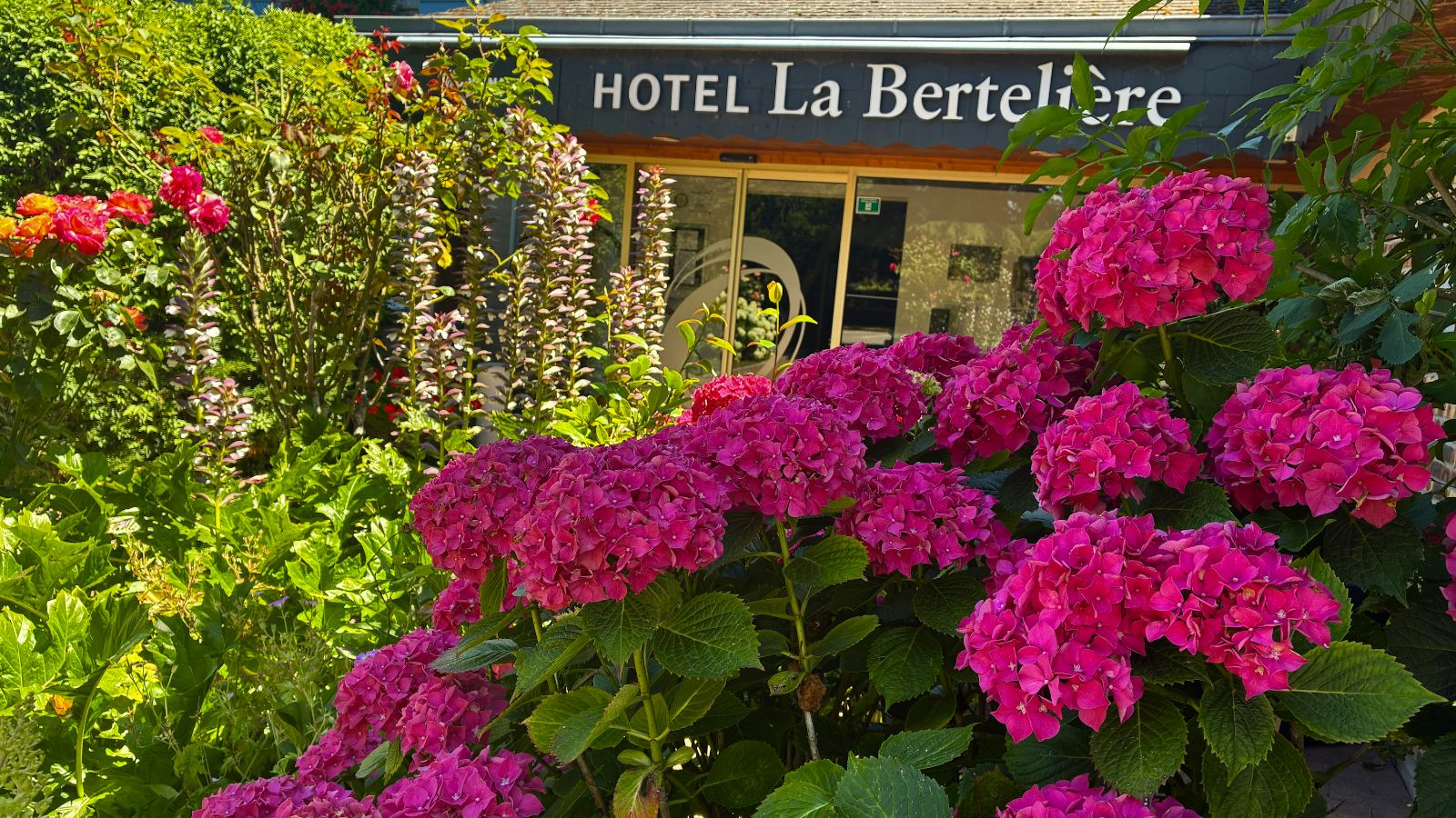 H�tel La Berteli�re - entr�e
